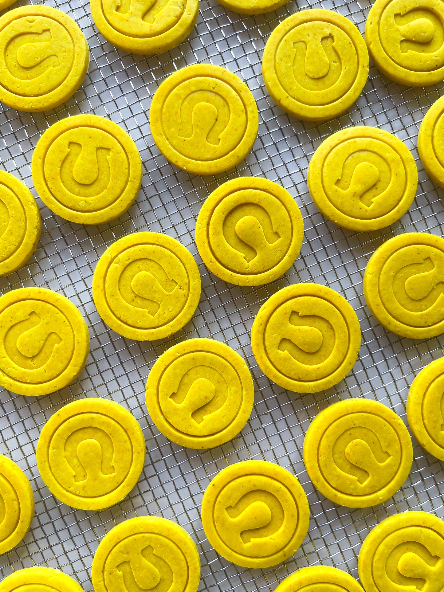 Lucky Horseshoe Coins