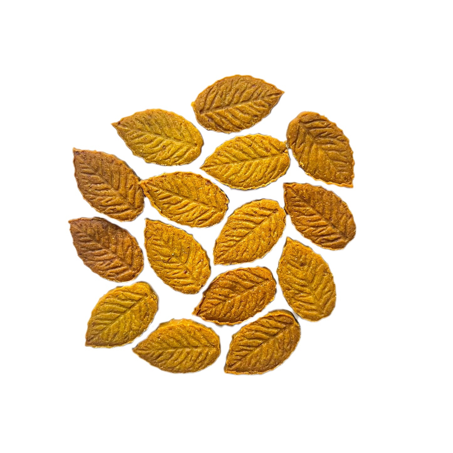 Fallinโ Leaves
