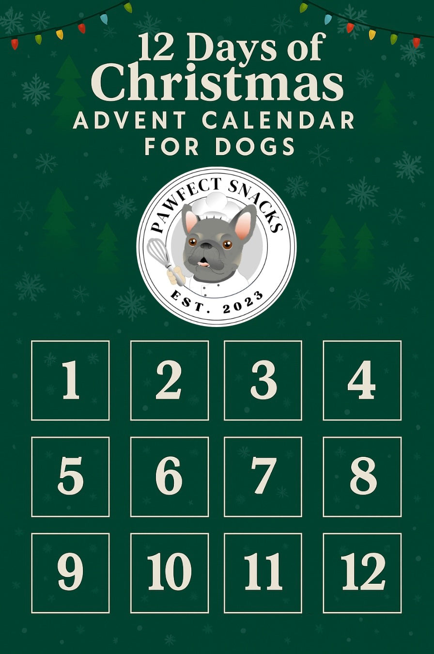 12 Days of Christmas Advent Calendar