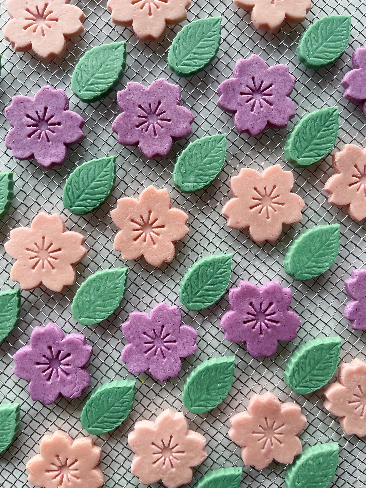 Floral Bloom