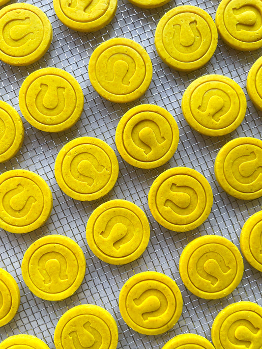 Lucky Horseshoe Coins