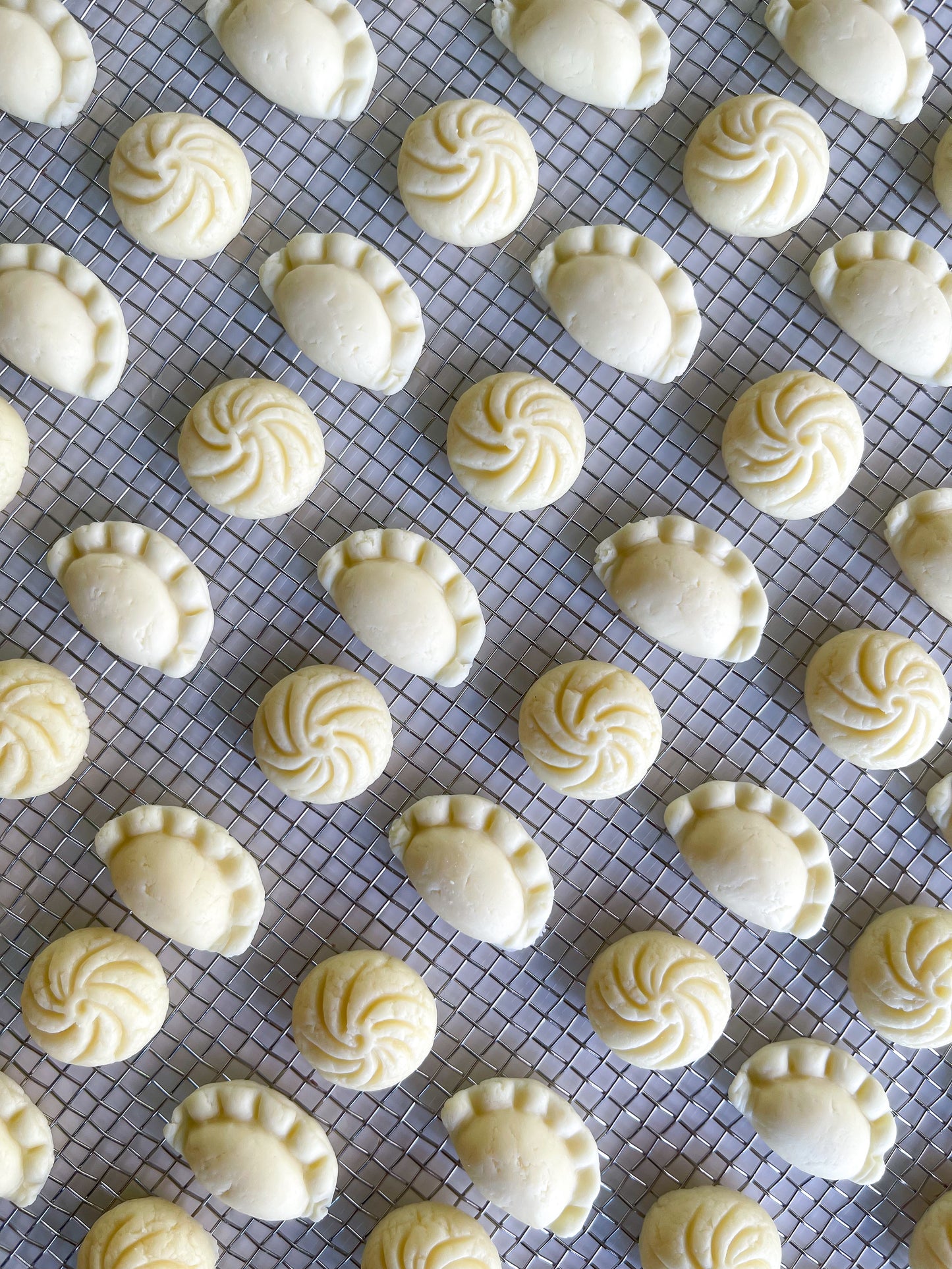 Bao x Dumplings