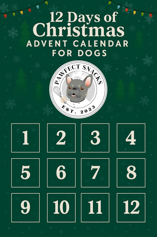 12 Days of Christmas Advent Calendar