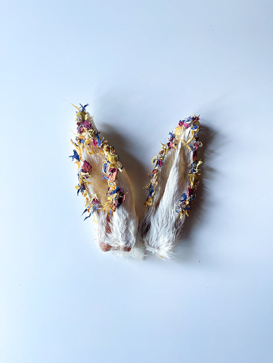 Beneficial Goat Milk Rabbit Ear