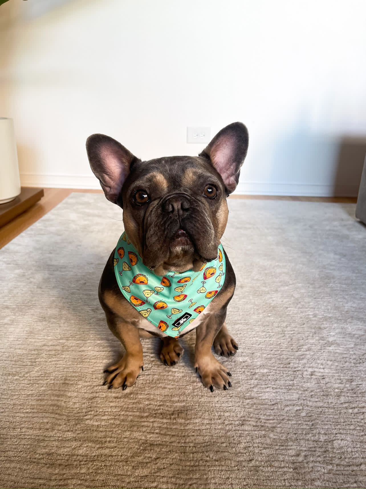 Margs & Tacos Cooling Bandana